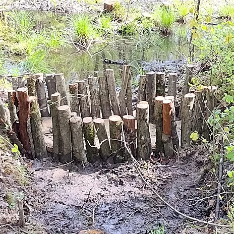 - vergrößerte Darstellung öffnen