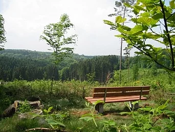 - vergrößerte Darstellung öffnen