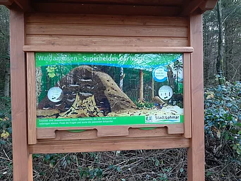 - vergrößerte Darstellung öffnen
