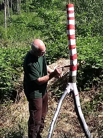- vergrößerte Darstellung öffnen