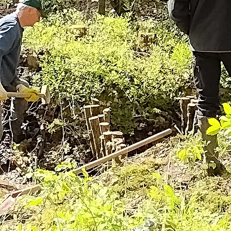 - vergrößerte Darstellung öffnen