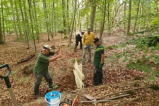 Naturschutz Wandertafel Biotop Buchenwald Ingerberg