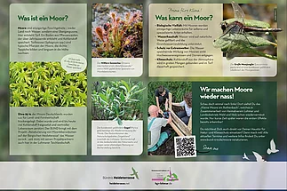 - vergrößerte Darstellung öffnen