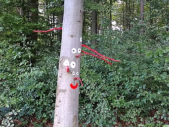 - vergrößerte Darstellung öffnen