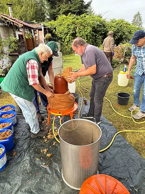 - vergrößerte Darstellung öffnen