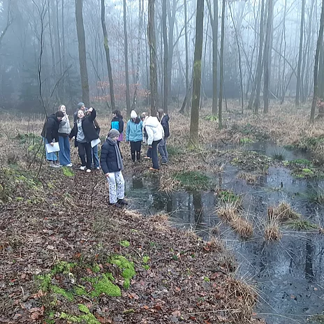Rothenbachbrücke, Erkundung des Geländes Rothenbachbrücke, Erkundung des Geländes - vergrößerte Darstellung öffnen
