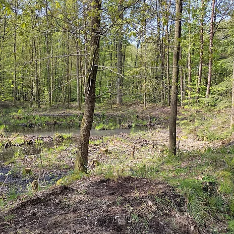 - vergrößerte Darstellung öffnen