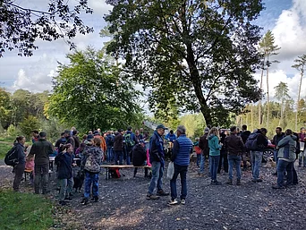 - vergrößerte Darstellung öffnen