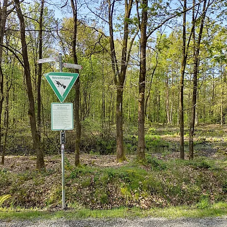 - vergrößerte Darstellung öffnen