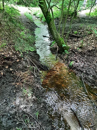 - vergrößerte Darstellung öffnen