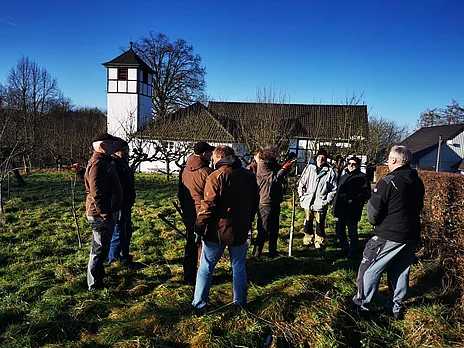 - vergrößerte Darstellung öffnen