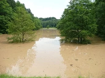 - vergrößerte Darstellung öffnen