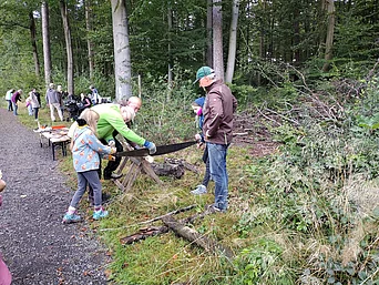 - vergrößerte Darstellung öffnen