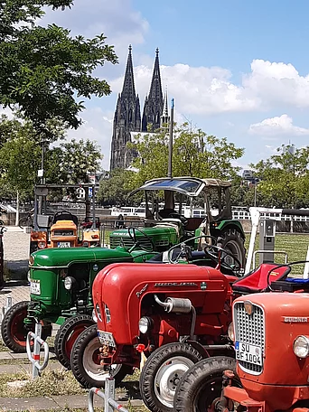- vergrößerte Darstellung öffnen