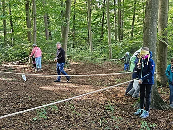 - vergrößerte Darstellung öffnen