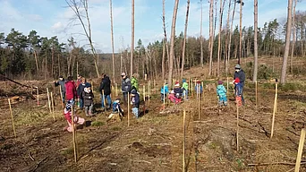 - vergrößerte Darstellung öffnen