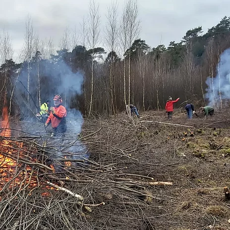 Hitzenbergmoor, Entkusselungsaktion Hitzenbergmoor, Entkusselungsaktion - vergrößerte Darstellung öffnen