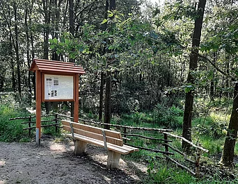 - vergrößerte Darstellung öffnen