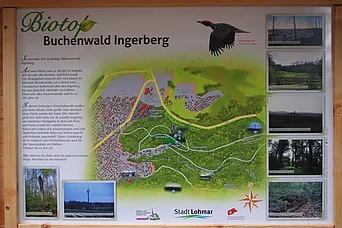 - vergrößerte Darstellung öffnen
