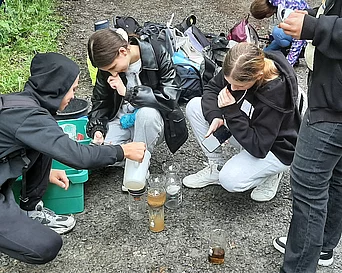 - vergrößerte Darstellung öffnen