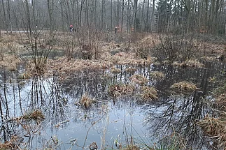 - vergrößerte Darstellung öffnen